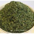 High quality dehydrated celery leaves 3*3mm